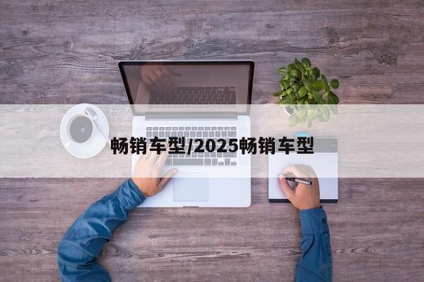畅销车型/2025畅销车型