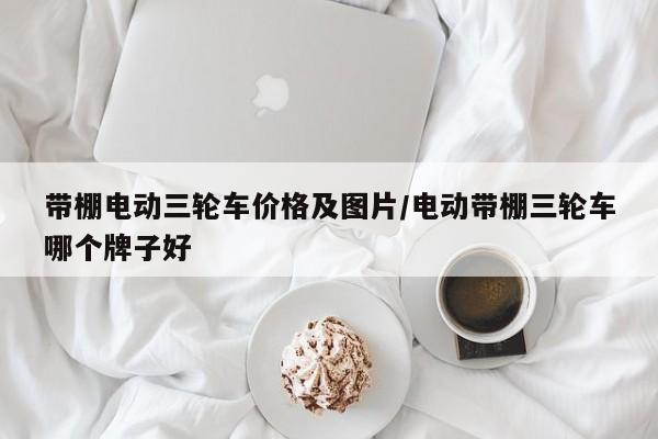 带棚电动三轮车价格及图片/电动带棚三轮车哪个牌子好
